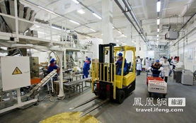 嚴寒之地的暖意饋贈 探秘西伯利亞美食工廠的幕后故事